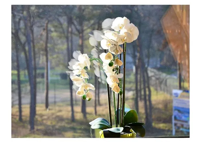 Bella Casa 35 Comfortable Juliusruh